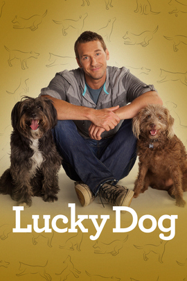 Lucky Dog